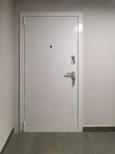 Белая порошковая дверь