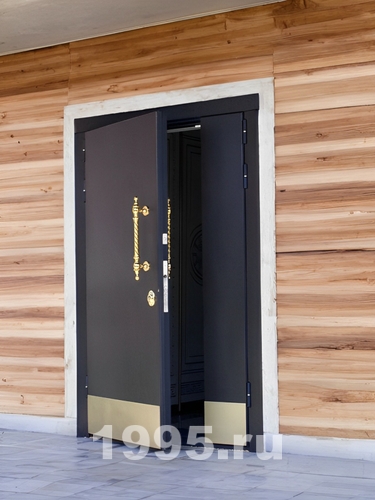 Черная дверь с отбойниками