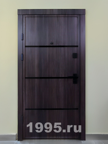 Дверь с матовыми вставками стекла