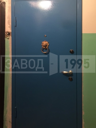 Установленная железная дверь Установленная железная дверь