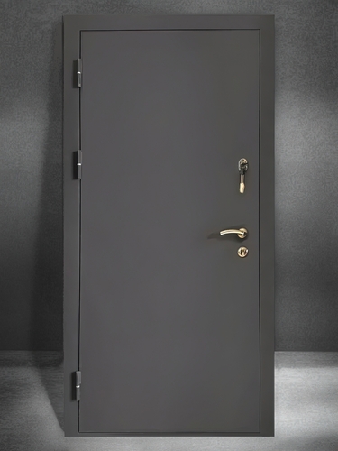 Дверь с порошковой покраской и МДФ