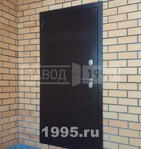 Дверь с порошковым окрашиванием в частном доме