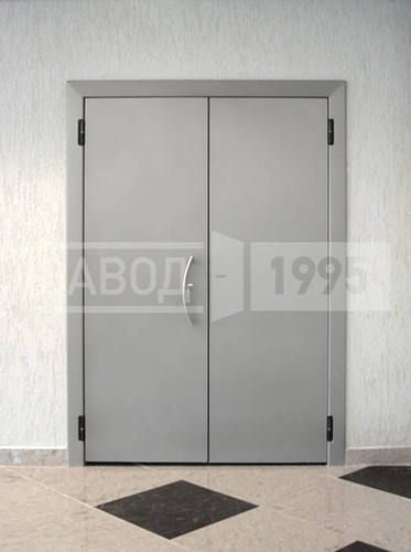 Двустворчатая техническая дверь Двустворчатая техническая дверь