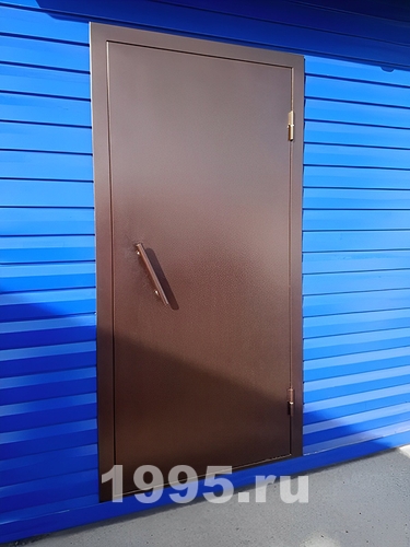 Глухая порошковая дверь