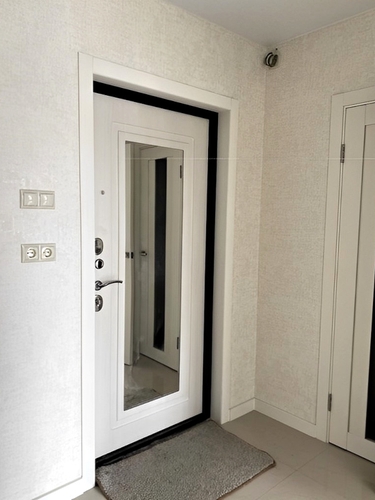 Квартирная дверь с МДФ и зеркалом