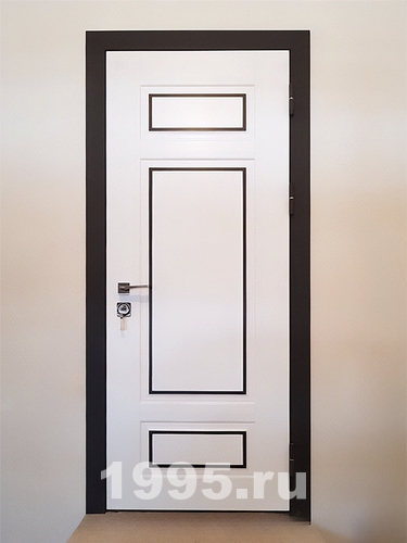 Одностворчатая глухая дверь