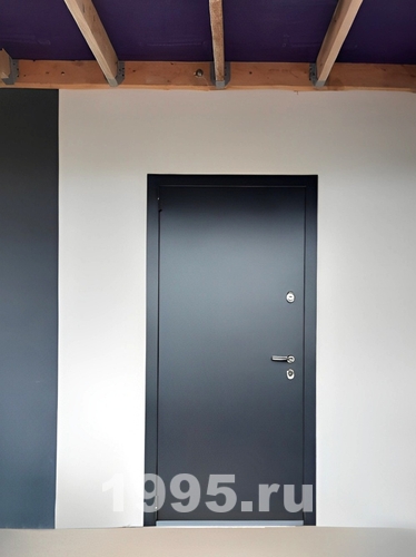 Установленная однопольная дверь
