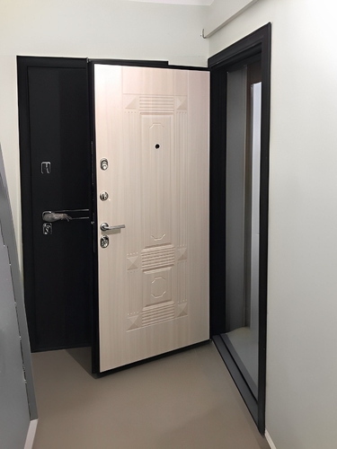 Входная квартирная дверь
